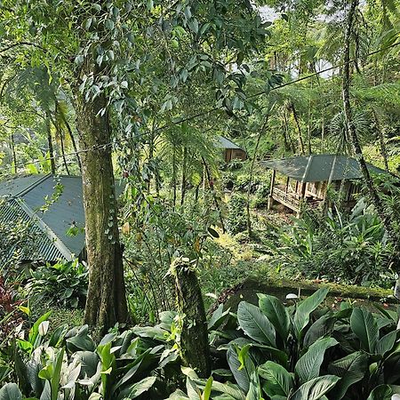 Rimba Eco Resort Tomohon Exterior foto